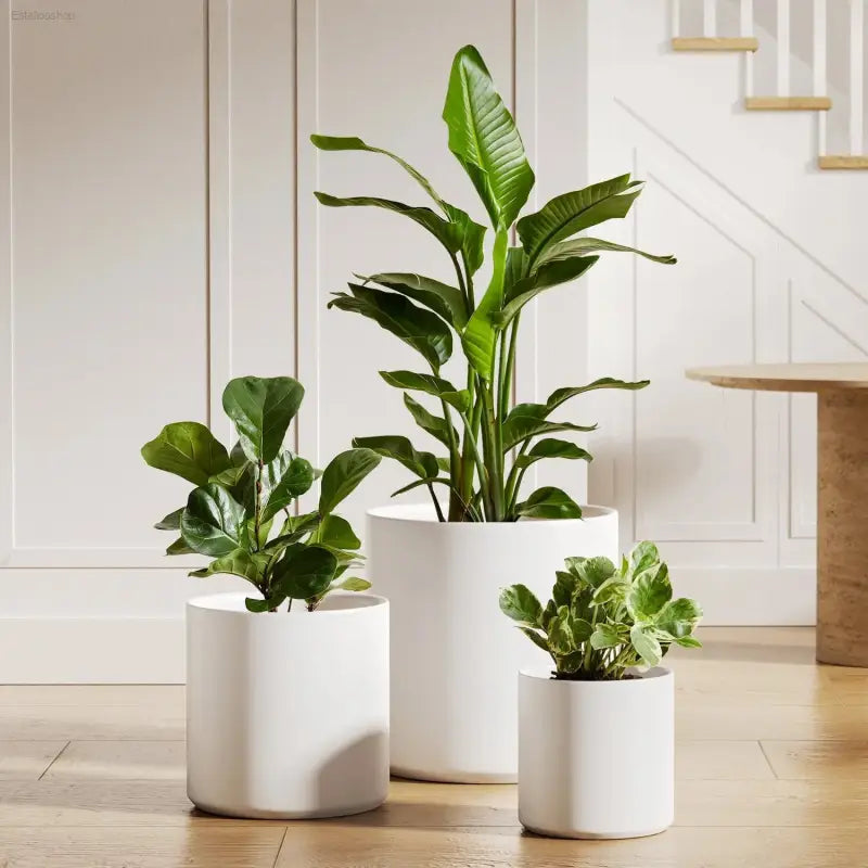 elegant pots for indoor plants BEMAY Elegant Set of 3 White Ceramic Plant Pots with Drainage Holes for  Indoor and Patio Decor by MyHackerTech