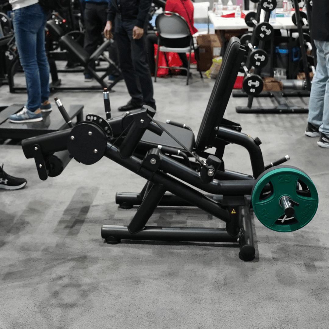 Pro Strength Leg Extension / Prone Leg Curl Combo - Muscle D Fitness ...