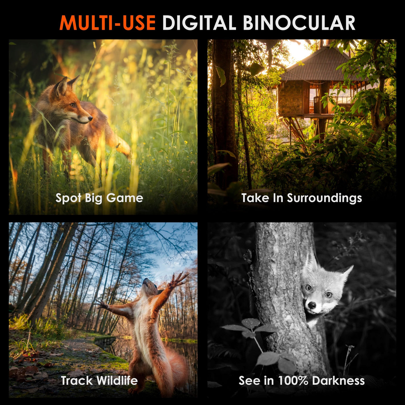 Rexing B1 Pro – 4K IR Night Vision Digital Binocular by MyHackerTech