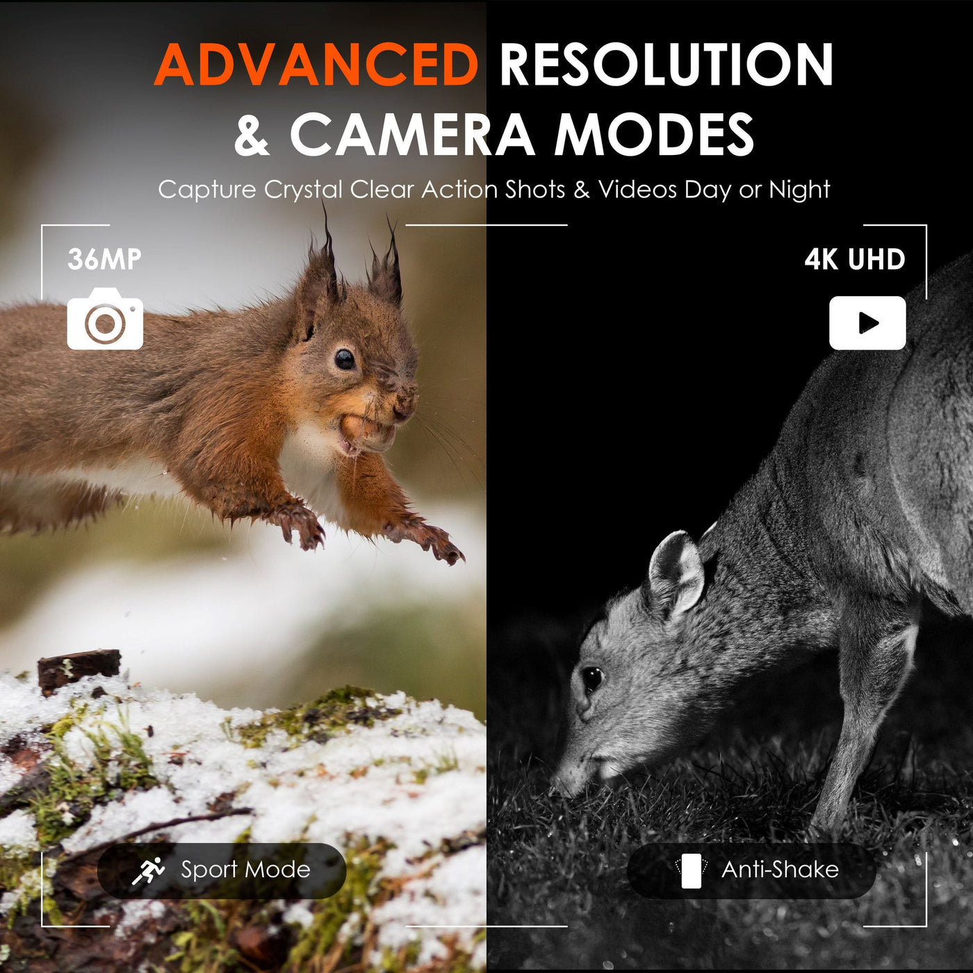 Rexing B1 Pro – 4K IR Night Vision Digital Binocular by MyHackerTech