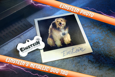 Back to the Future Time Travel Memories II Expansion Kit Standard Edition prop replicas by MyHackerTech