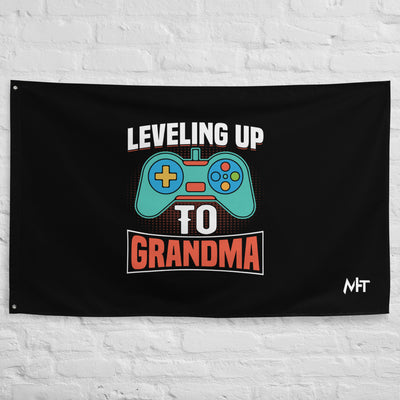 Leveling up to Grandma - Flag