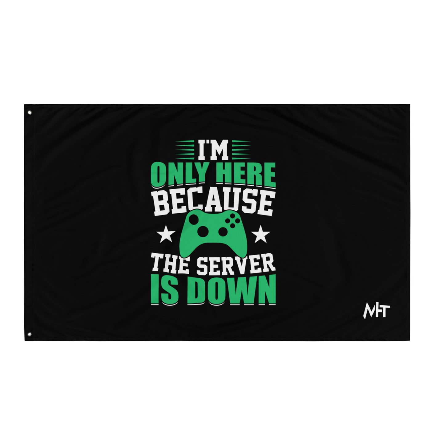 I'm only Here, because the Server is Down Flag
