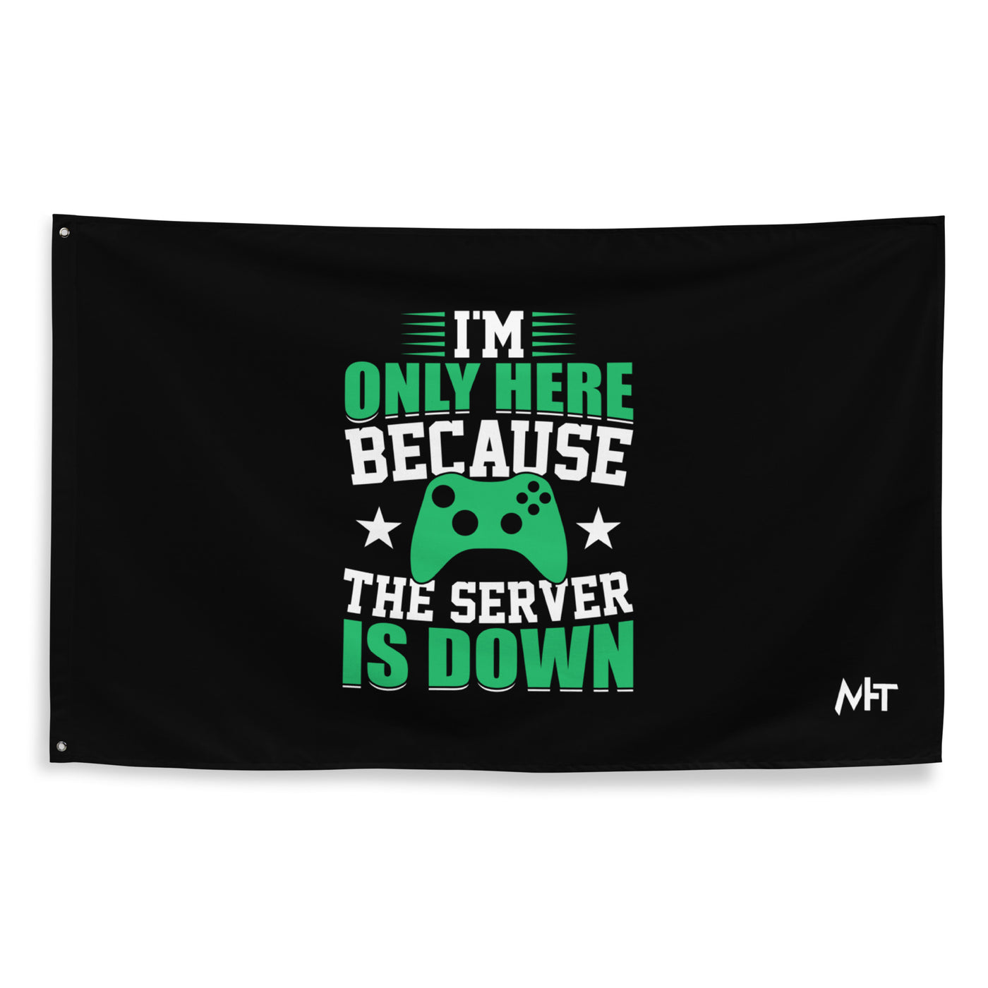 I'm only Here, because the Server is Down Flag