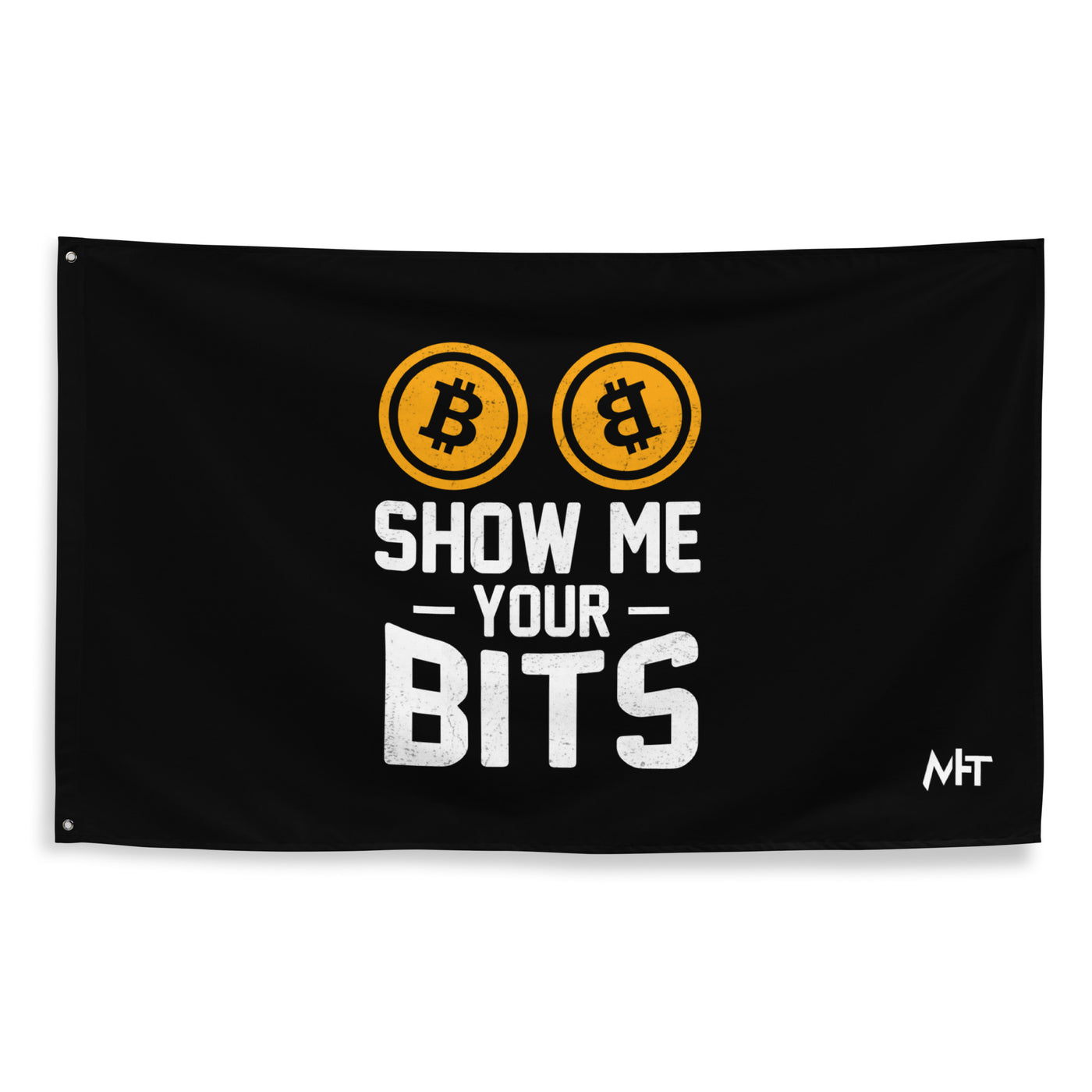 Show me your Bits - Flag