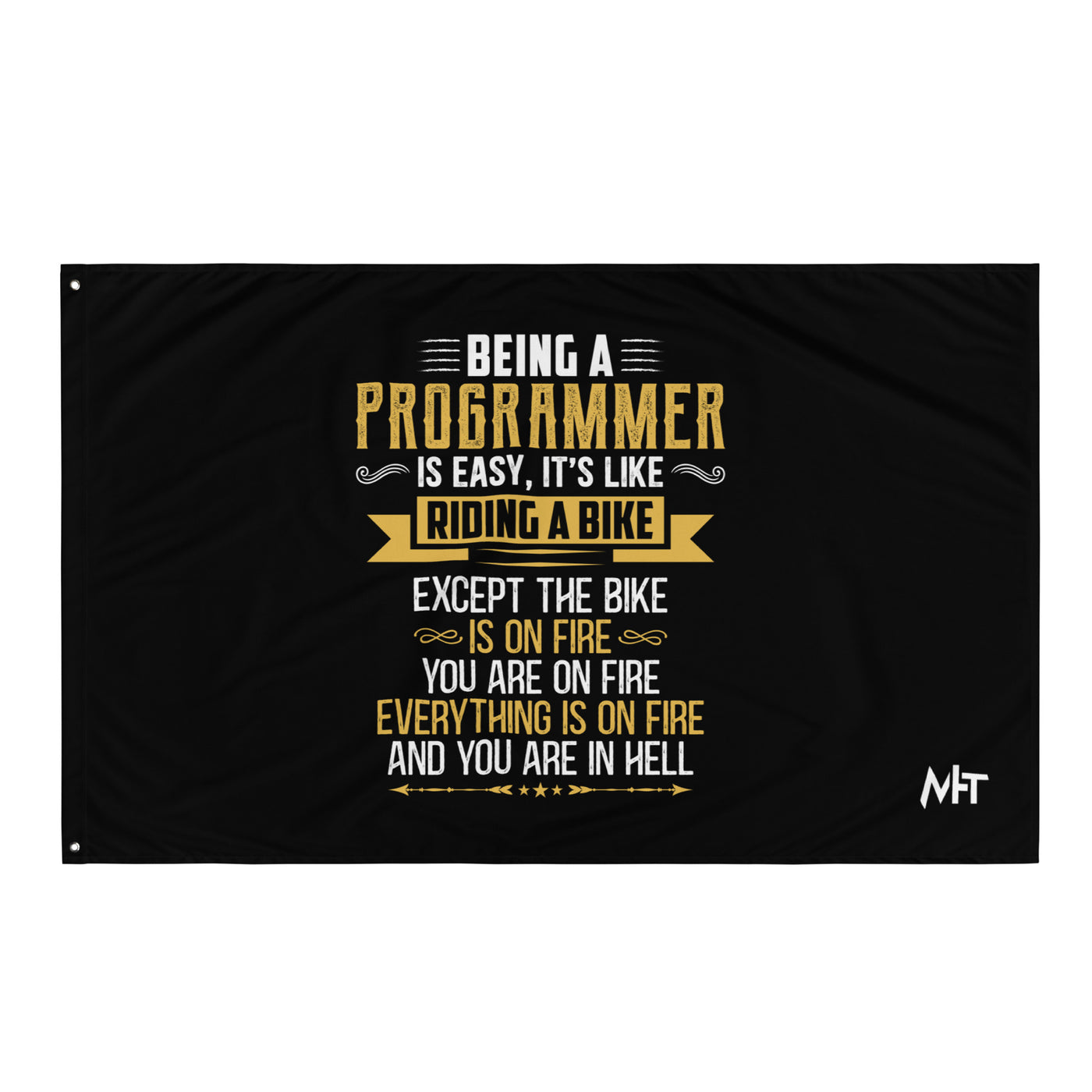 Being a Programmer is easy V2 - Flag