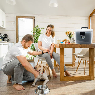 The Original Nokbox™ by MyHackerTech