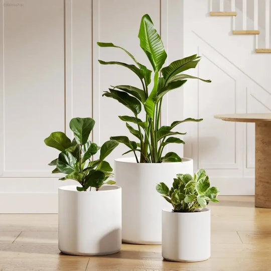 elegant indoor plant pots BEMAY Elegant Set of 3 White Ceramic Plant Pots with Drainage Holes for  Indoor and Patio Decor