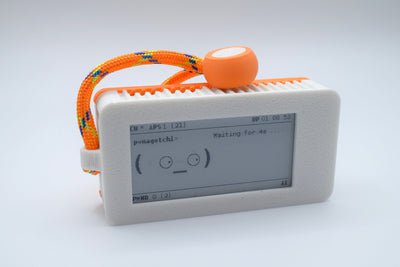 Pwnagotchi Case by MyHackerTech