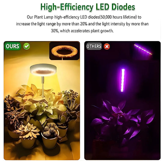 grow light for bonsai tree Timing Dimming Plant Grow Light for Succulent Bonsai Plants