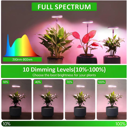 best light for bonsai tree Timing Dimming Plant Grow Light for Succulent Bonsai Plants