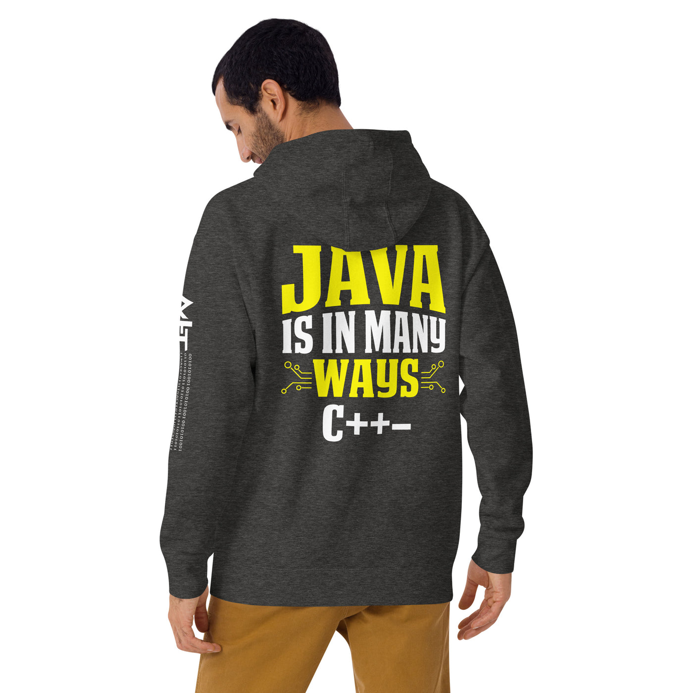 Java is in Many Ways C++- Unisex Hoodie  ( Back Print )