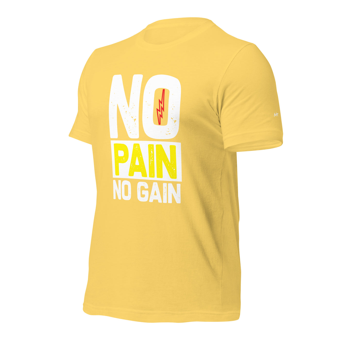 No Pain No Gain - Unisex t-shirt