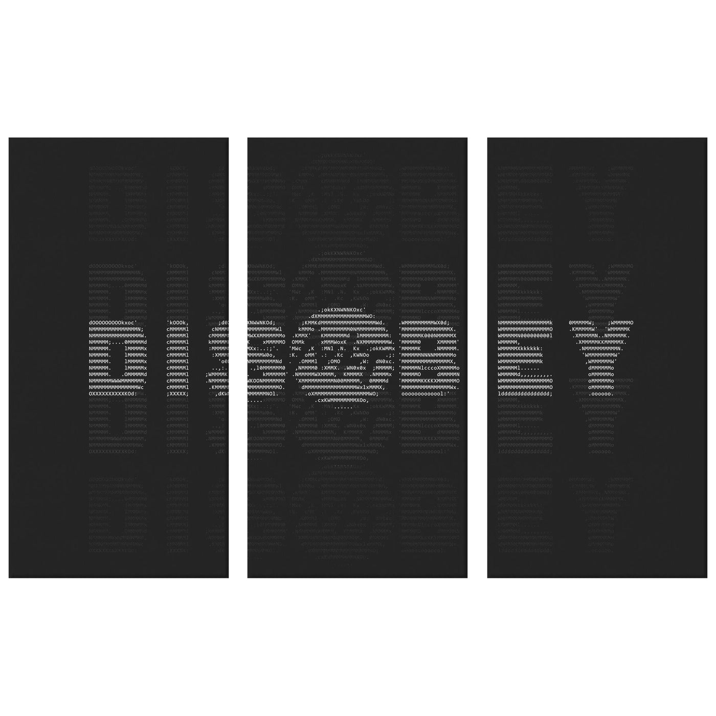 Disobey - 3 piece canvas by MyHackerTech