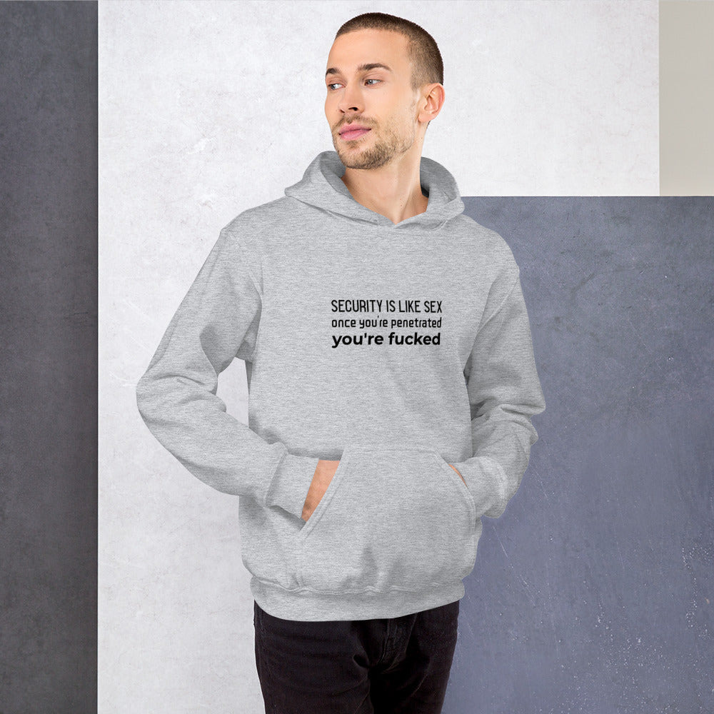Security is like sex, once you're penetrated, you're fucked - Unisex Hoodie (black text)