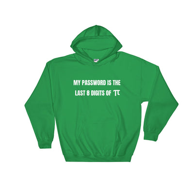My password is the last 8 digits of π - Hooded Sweatshirt (white text)
