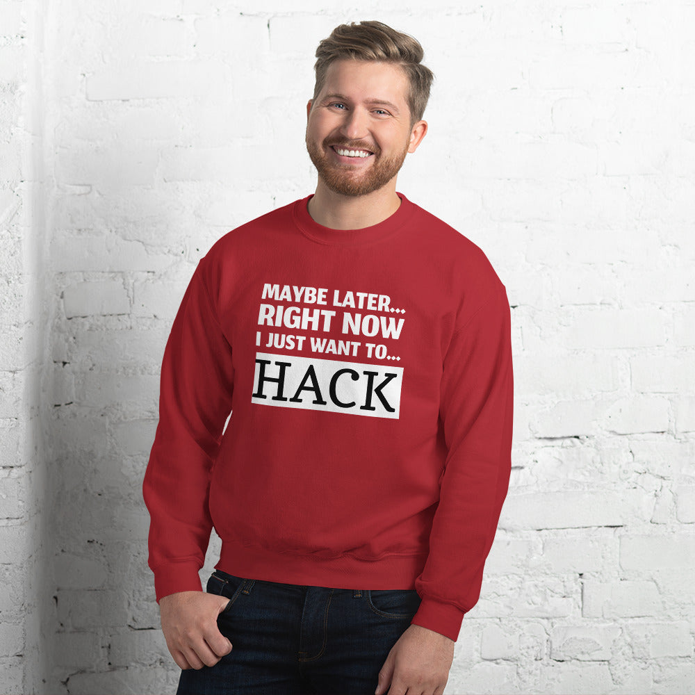 Maybe later... right now I just want to... hack - Unisex Sweatshirt